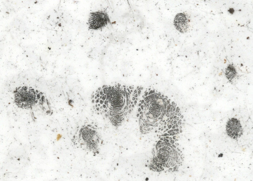 possum_handprint