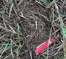 Photo of Vole nest (with pocket knife for size reference)