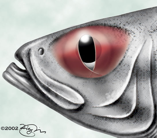 v04_id161_con_eyelid