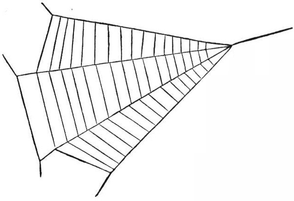 triangleweb608608