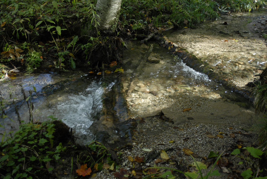 Jordan_headwaters0036