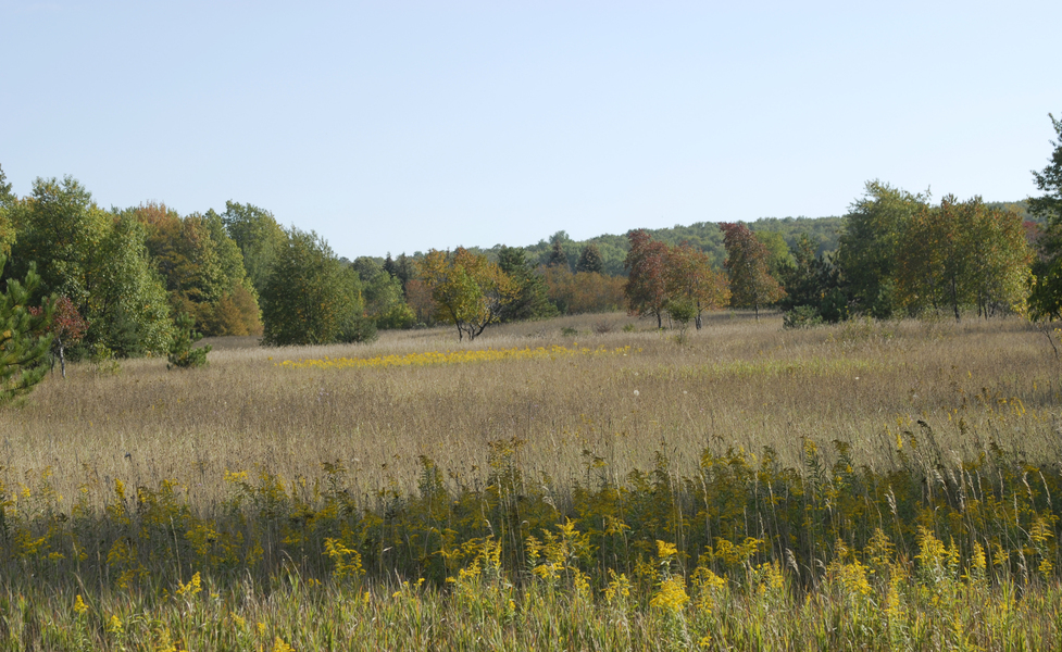 oldfield0046