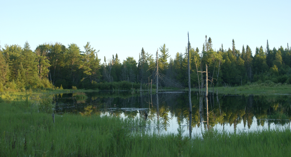 Frenchman_creek5681