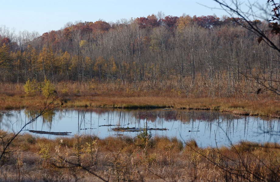 pond1162