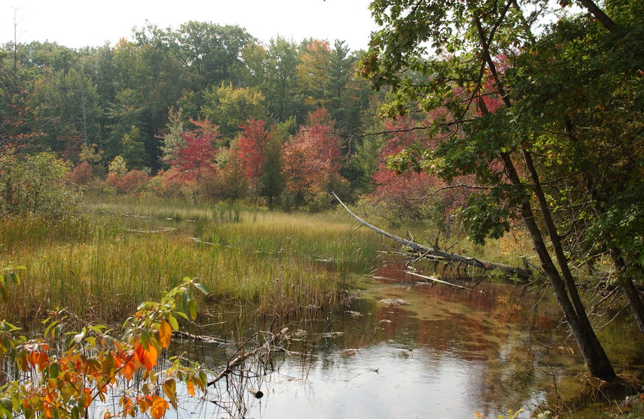 DSC_5935