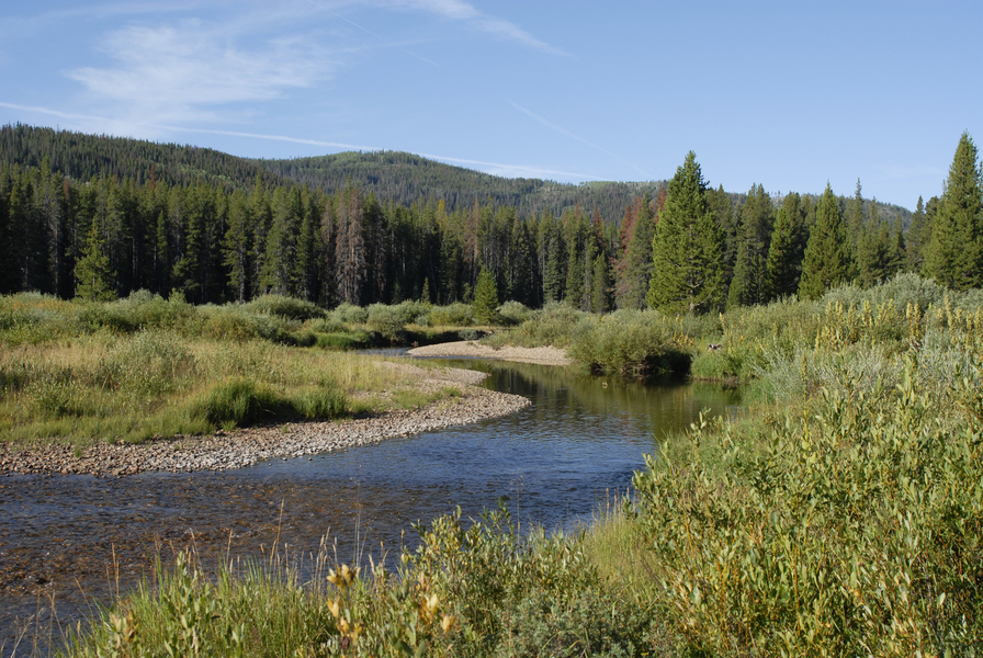S_Fork_Elk0127