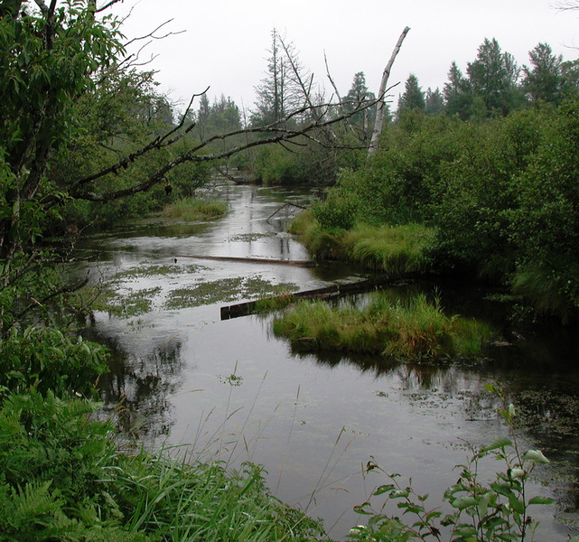 uppermanistee