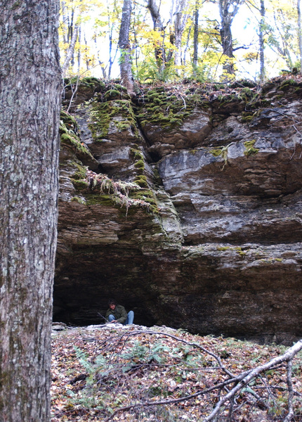 rock_shelter