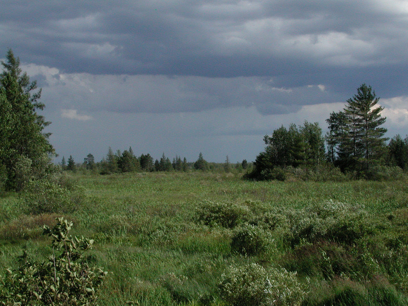 scenery1