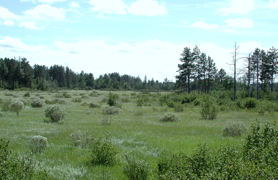 scenery5