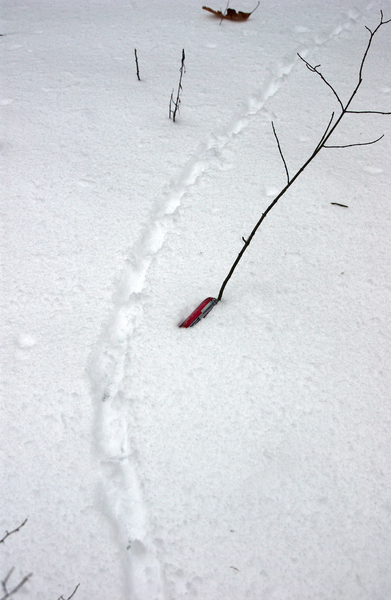 grousetracks3728