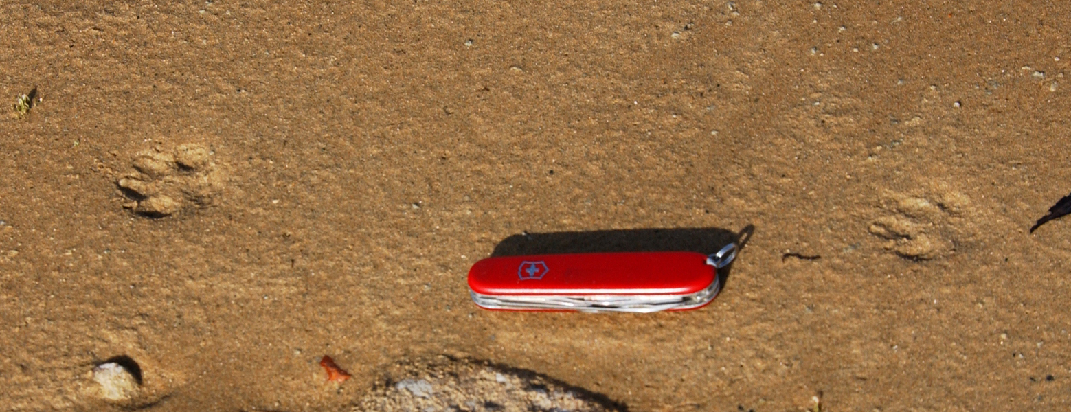minktrack6537