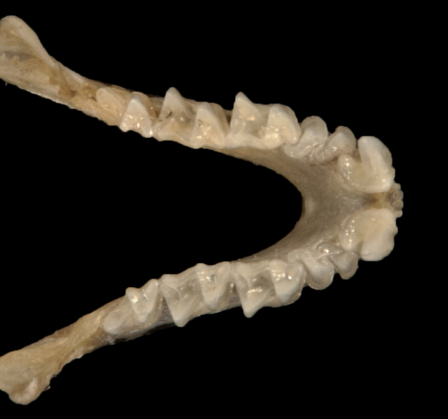 ltr6238