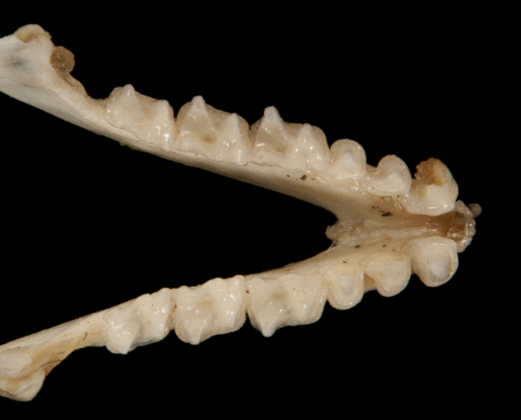ltr6348