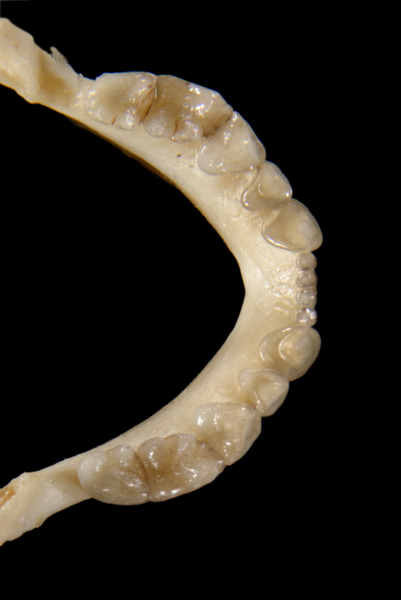 ltr0217