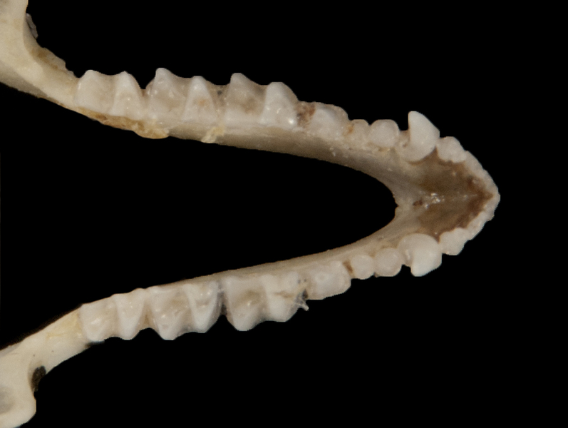 ltr5719