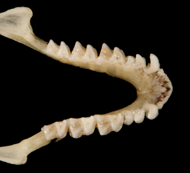 ltr5846