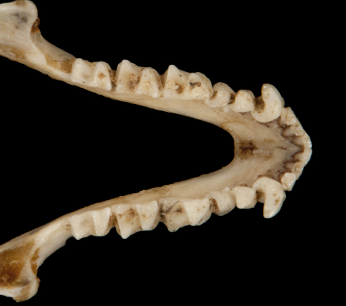 ltr5860
