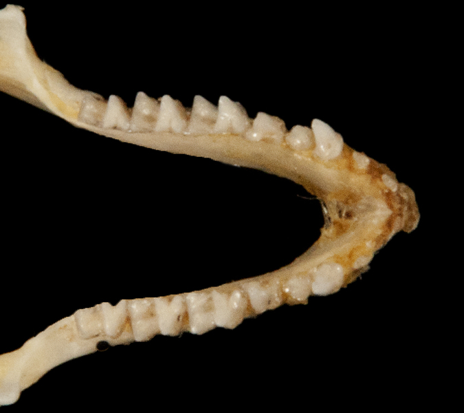 ltr5928