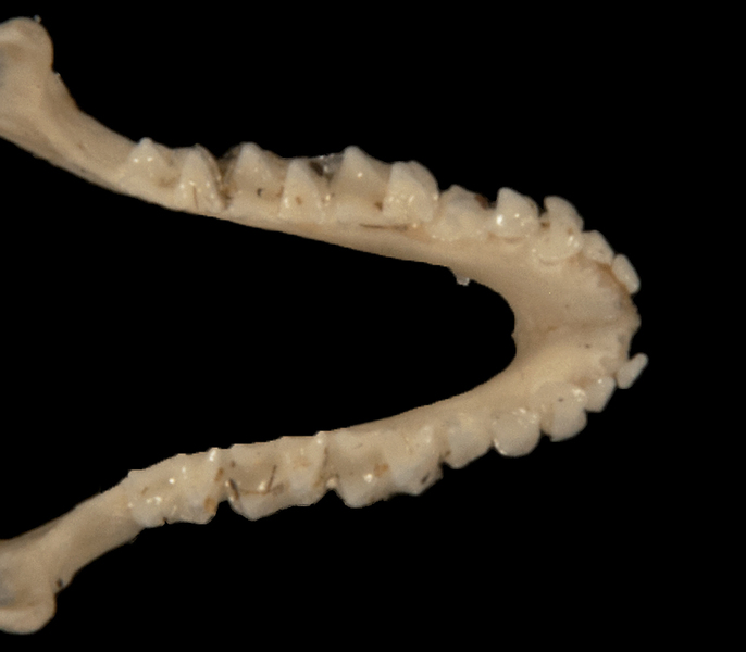 ltr5940