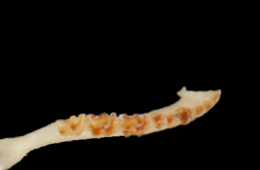 ltr6013