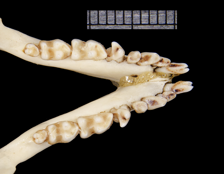 ltr6292