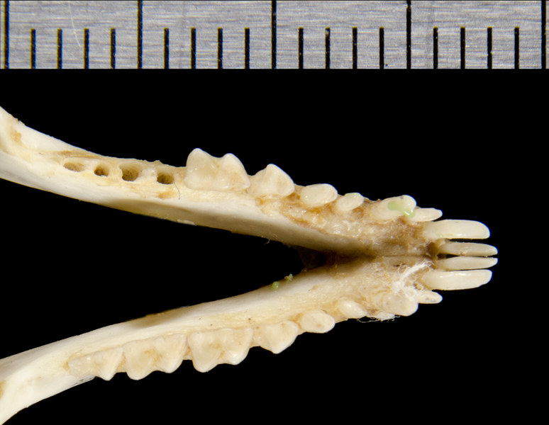 ltr0645