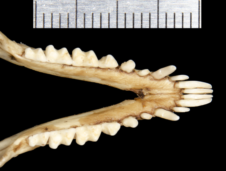 ltr0654