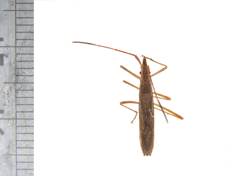 bug3023