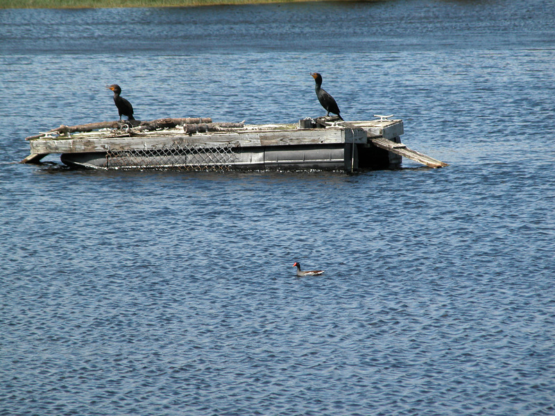 DSCN0047aa
