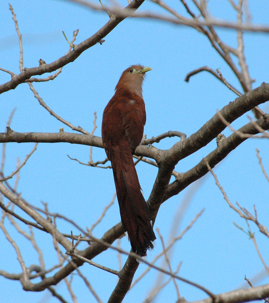 DSC_8638-SC1