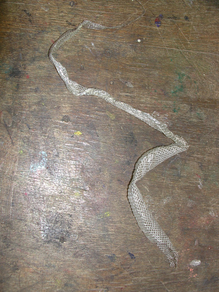 snakeskin