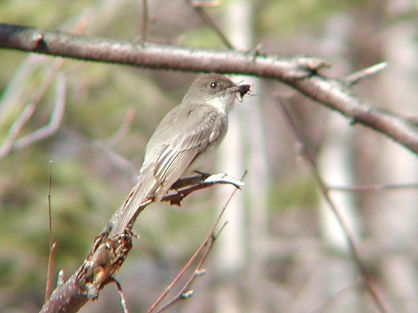 P5043039_r